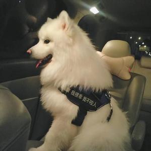 小日本做爱视频免费
